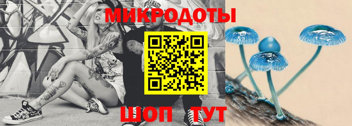 где купить   Галлюциногенные грибы Magic Shrooms  Вход с VPN  Еманжелинск  Псилоцибиновые грибы мухоморы 