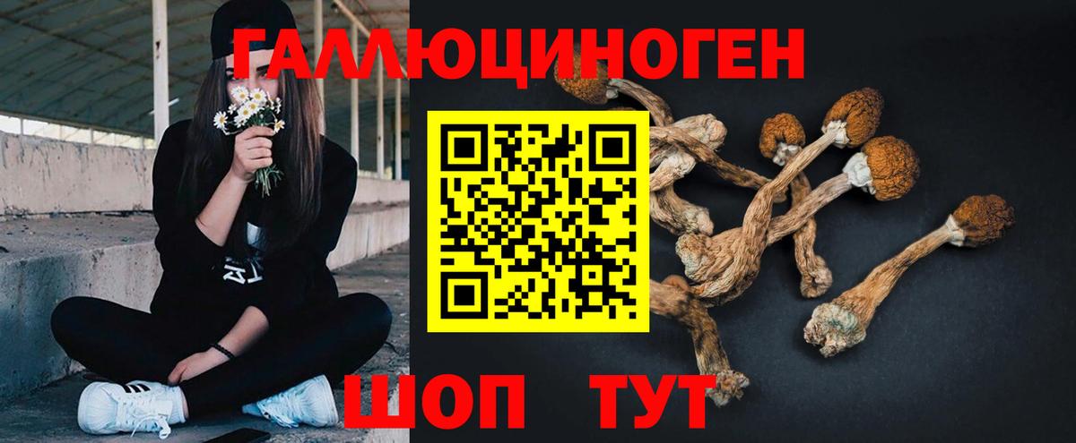 Псилоцибиновые грибы мухоморы Еманжелинск