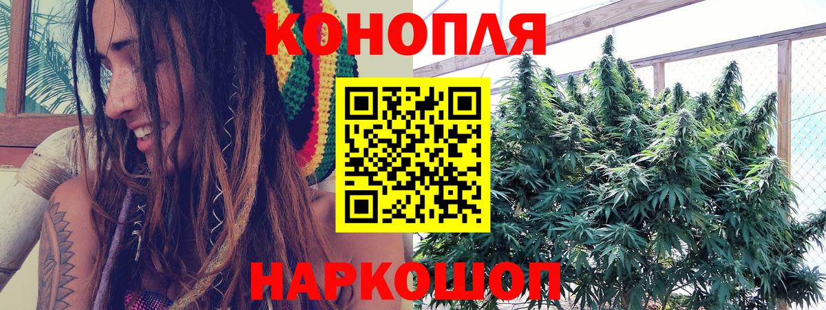 Бошки марихуана сатива  Бошки Шишки LSD WEED  Канабис индика  Вход с VPN  Еманжелинск  Каннабис VHQ 